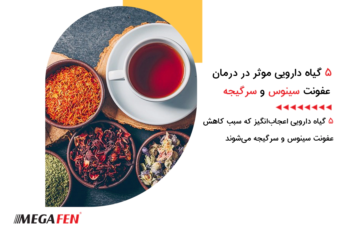 گیاهان دارویی موثر در درمان عفونت سینوزی و سرگیجه