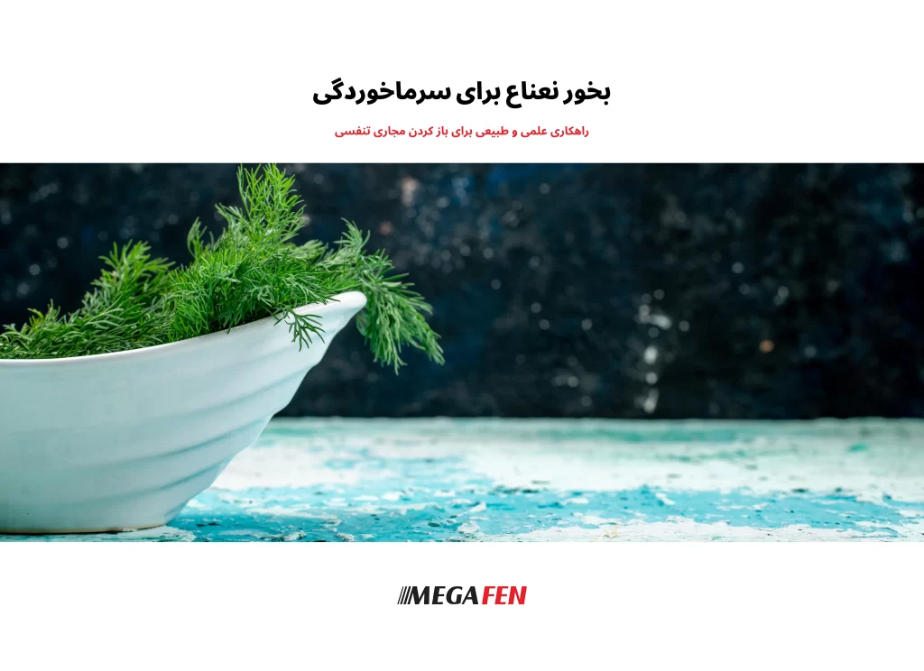 راهنمای کامل استفاده از بخور نعناع برای تسکین علائم سرماخوردگی و بهبود تنفس.