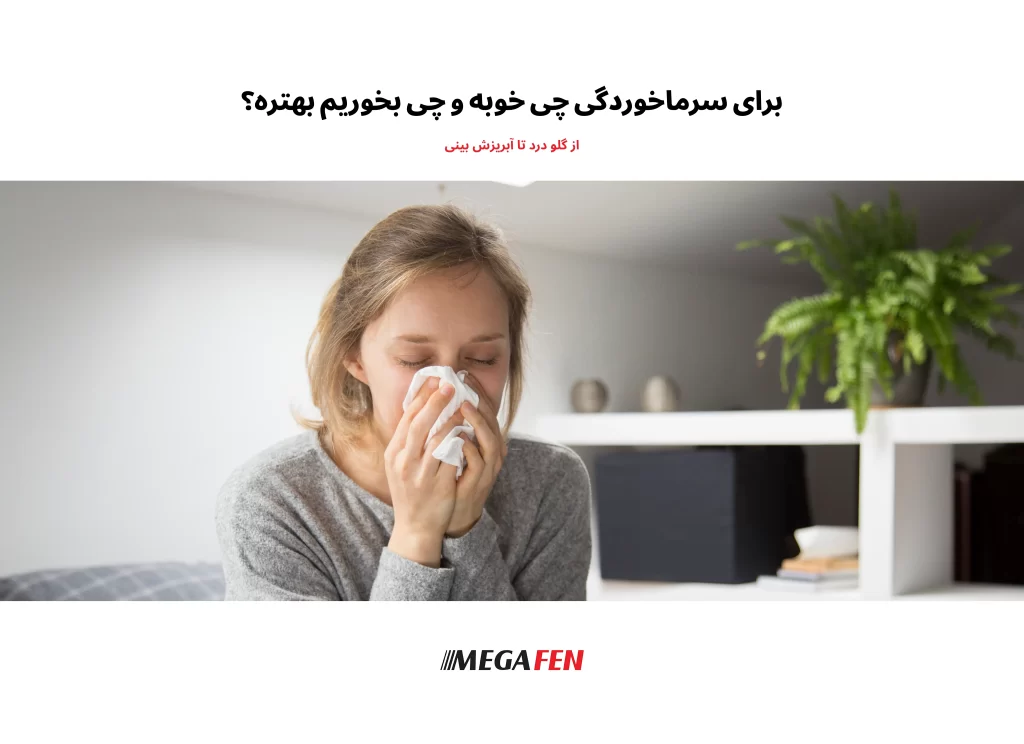 راهنمای کامل تغذیه و درمانهای خانگی برای سرماخوردگی؛ از نوشیدنیهای گرم و غذاهای مفید تا میوهها و روشهای طبیعی بهبود علائم.