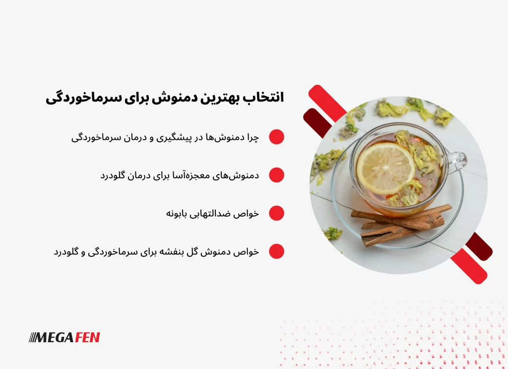 راهنمای جامع معرفی بهترین دمنوشهای گیاهی برای سرماخوردگی، گلودرد و آبریزش بینی با روش تهیه و خواص هرکدام.