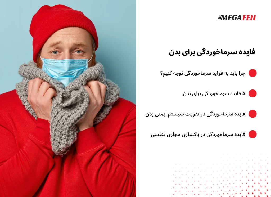 تصویری از فردی که به دلیل سرماخوردگی استراحت می‌کند و سیستم ایمنی بدنش در حال مقابله با ویروس‌ها است.